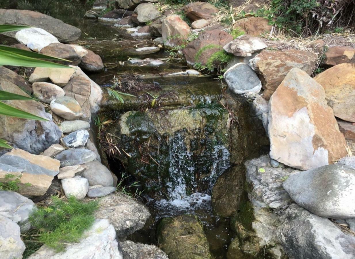 Jardines De Las Golondrinas Marbella Exteriör bild